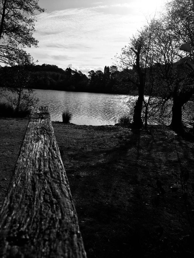 Pisgah Snowdonia